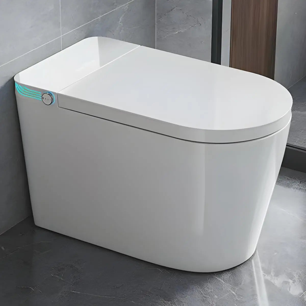 Smart Tankless Toilet with Bidet